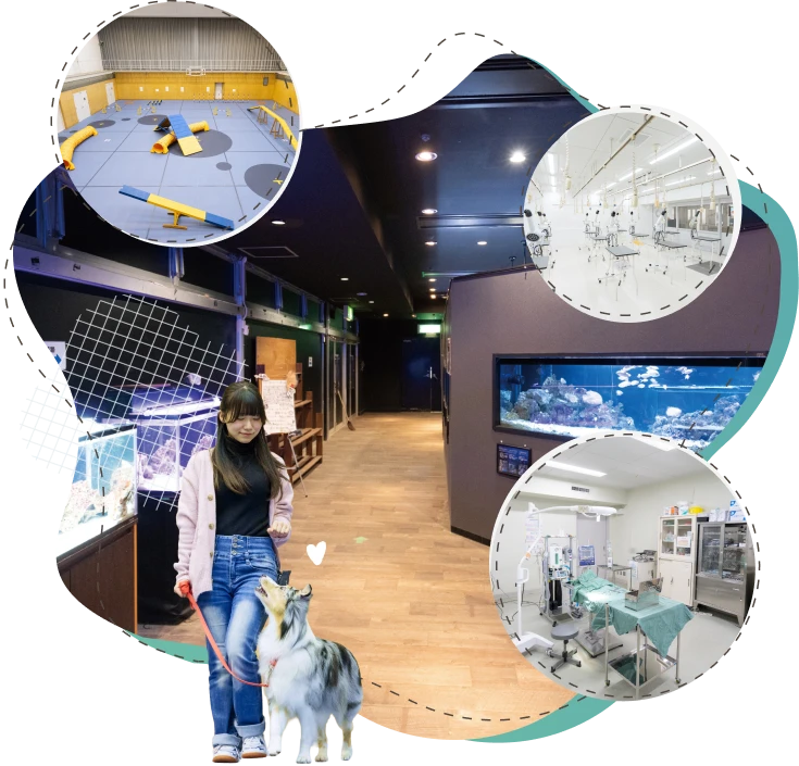 設備・施設イメージ