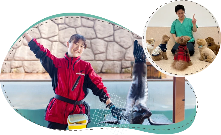 サポートイメージ