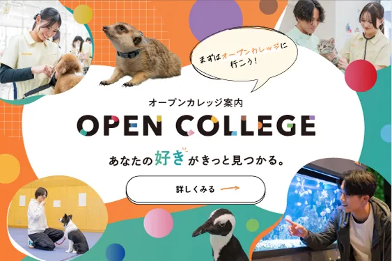 オープンカレッジ案内