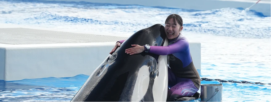 就職サポートイメージ