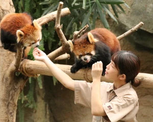就職・資格イメージ