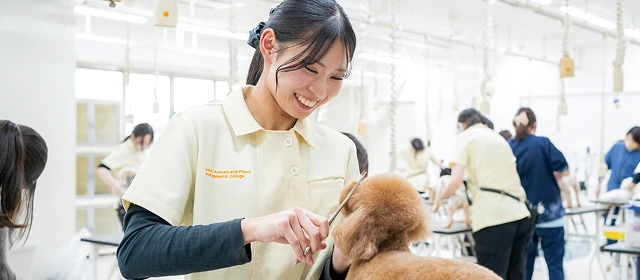 トリミングゼミイメージ