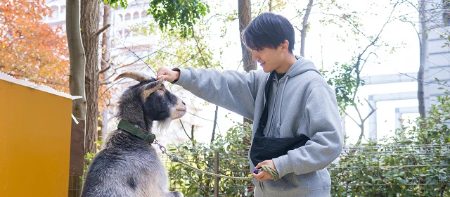 動物園ゼミイメージ