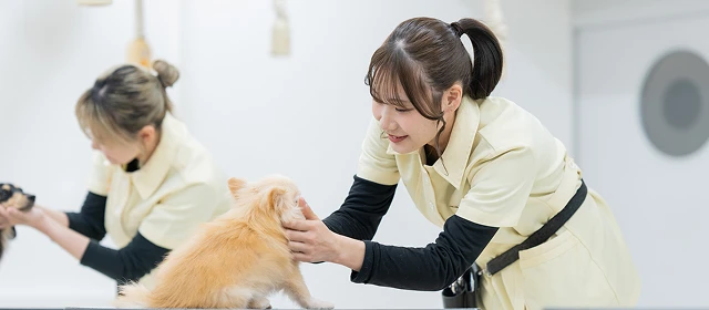 生命科学科イメージ