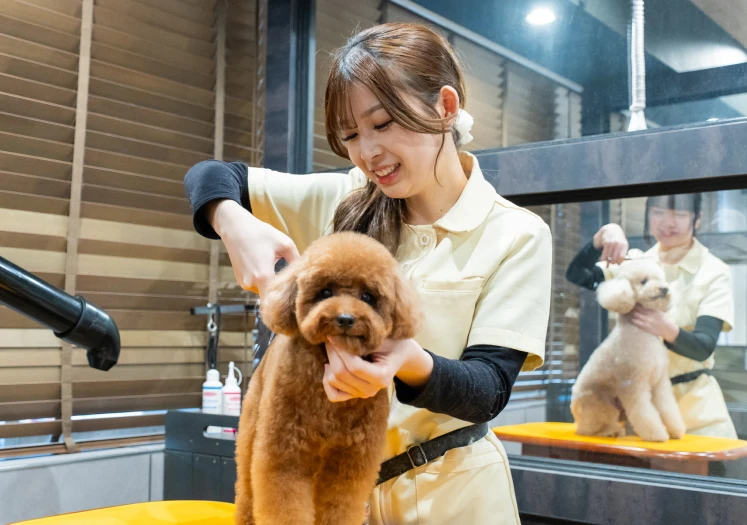 トリミングサロン起業コースイメージ