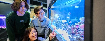 アクアスペシャリストコースイメージ