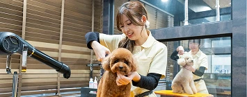 トリミングサロン起業コースイメージ