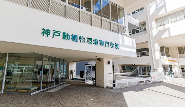 アクセスイメージ