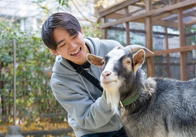 メッセージイメージ2