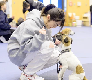 オープンカレッジイメージ2