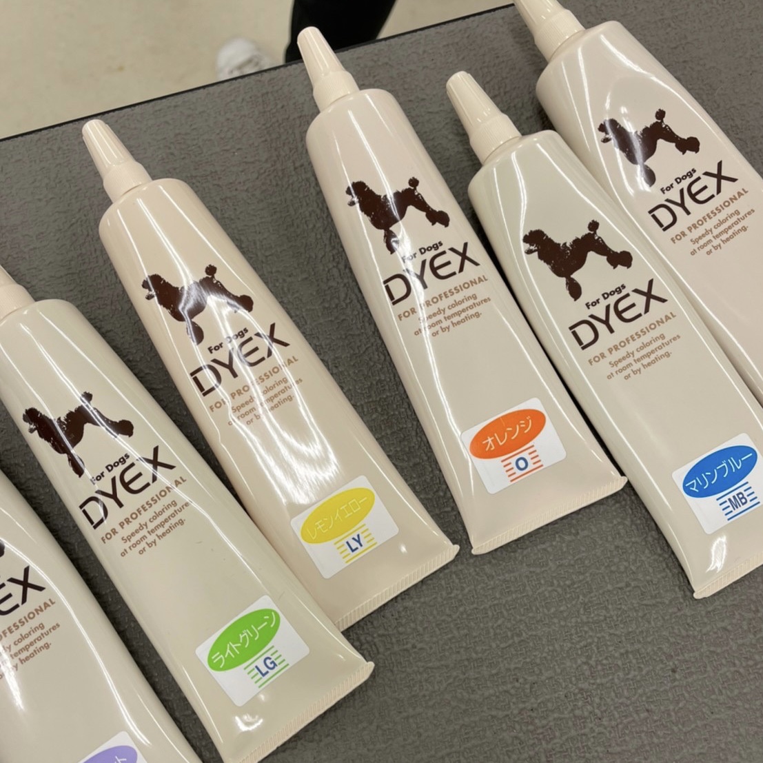 ワンちゃんにもエステ・・・？