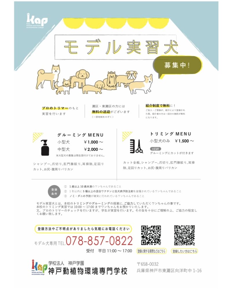 モデル実習犬チラシ