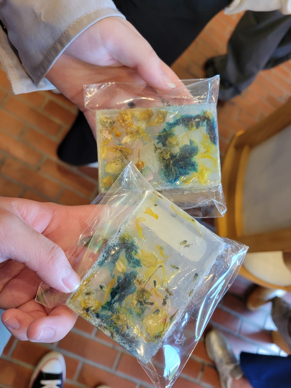 TCA神戸を満喫🍁🐶