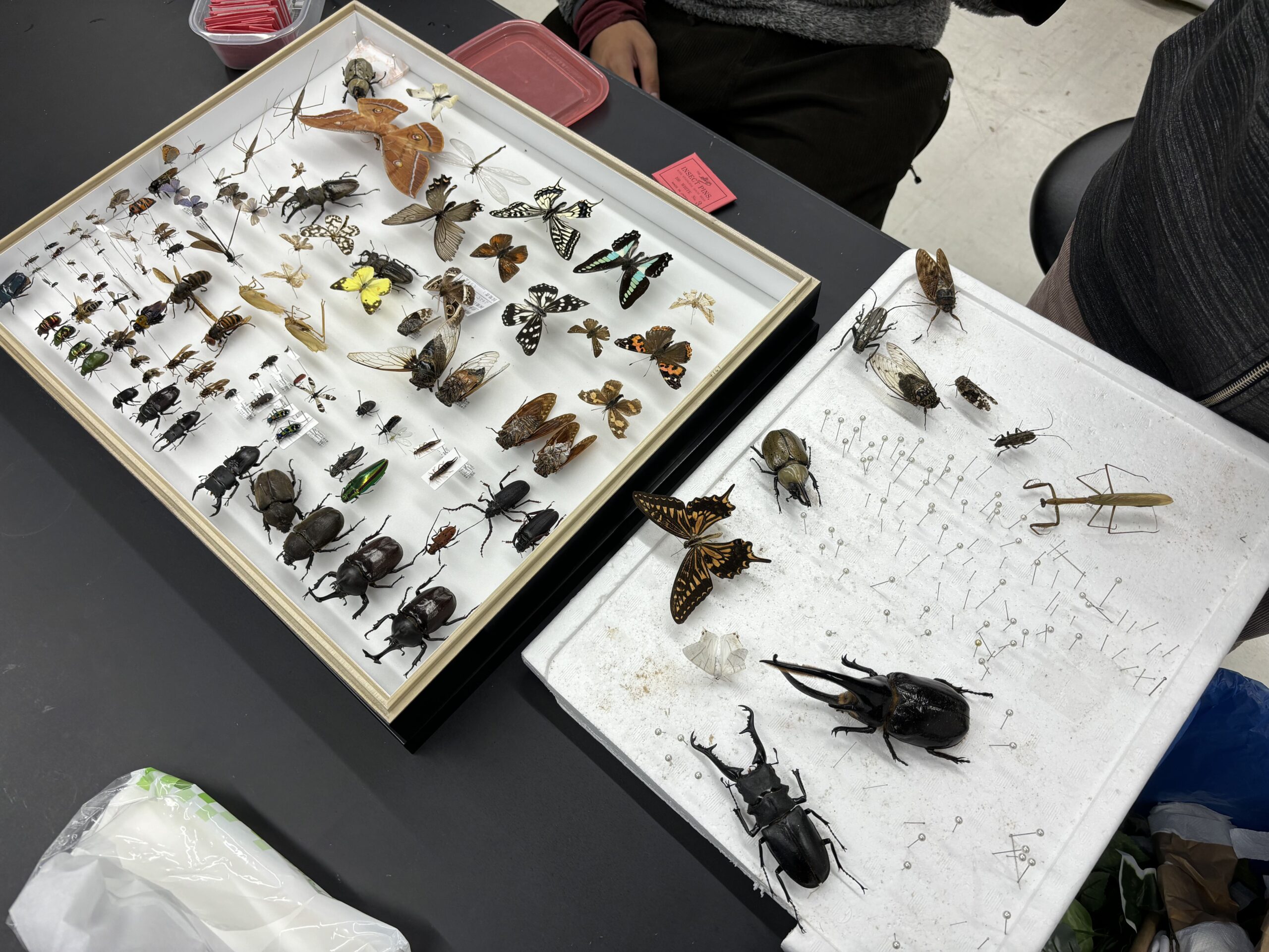 年末すっきり大作戦！！🧹