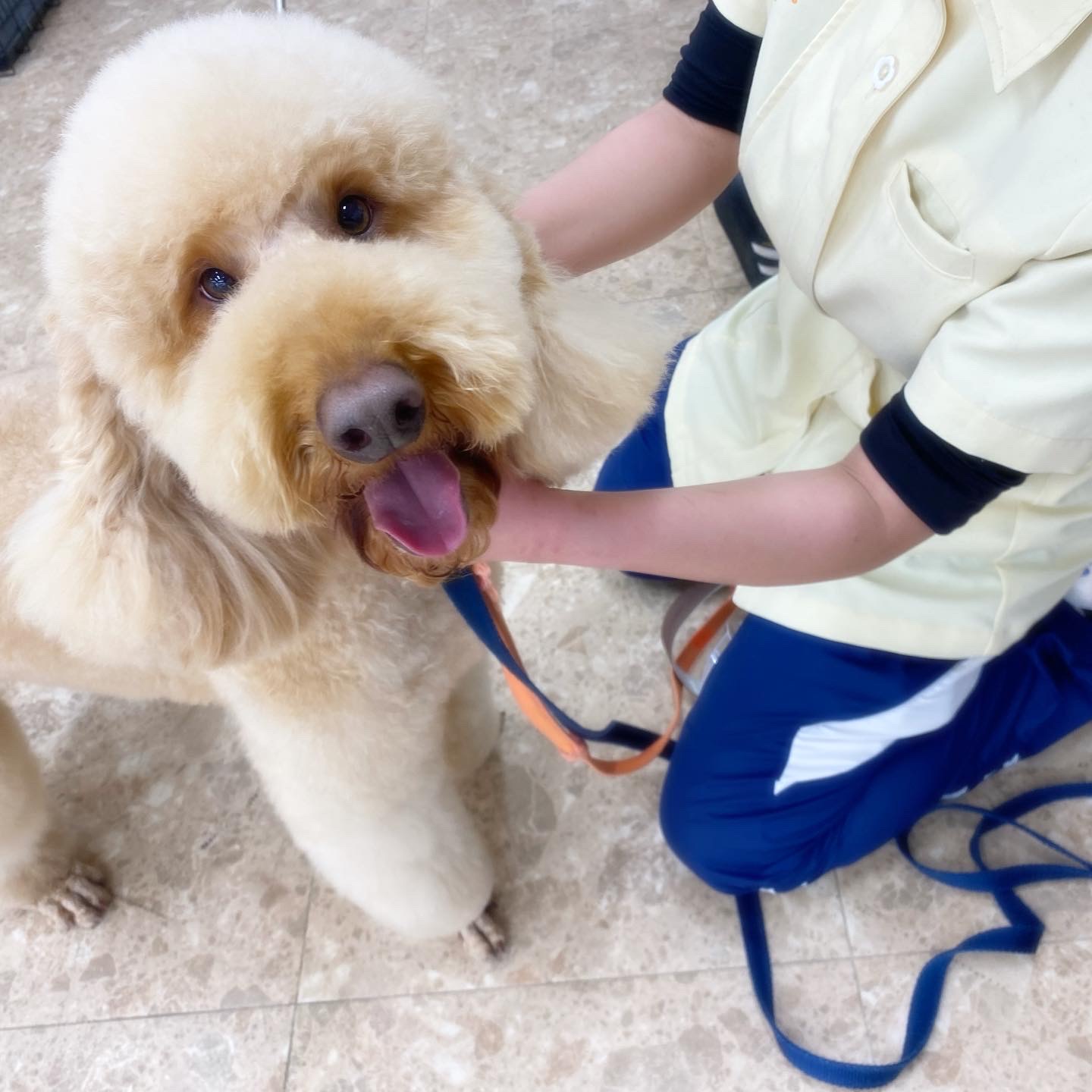 新年度始まってます🐶