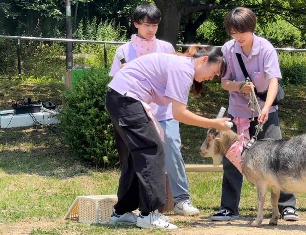 ヤギイベント頑張りました～🐐カップミュージアムも頑張ります✨👍