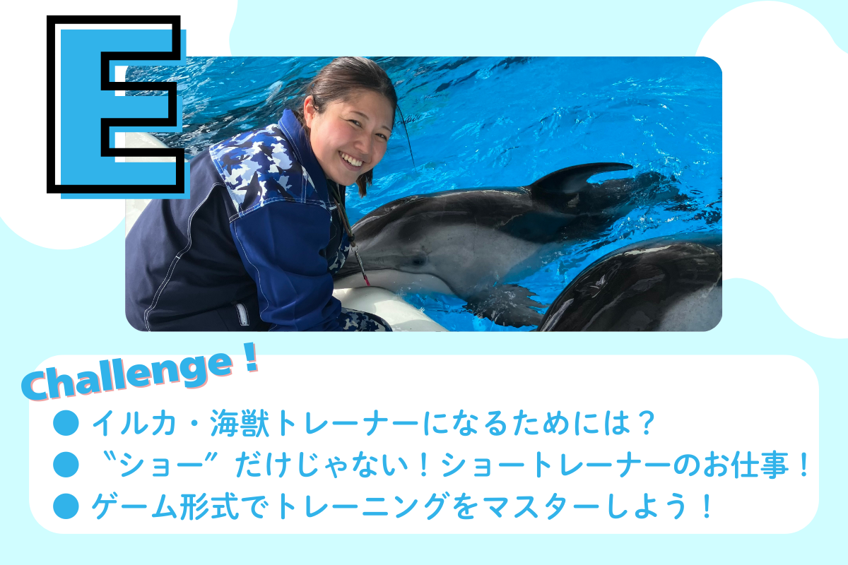 イルカ・海獣トレーナー体験