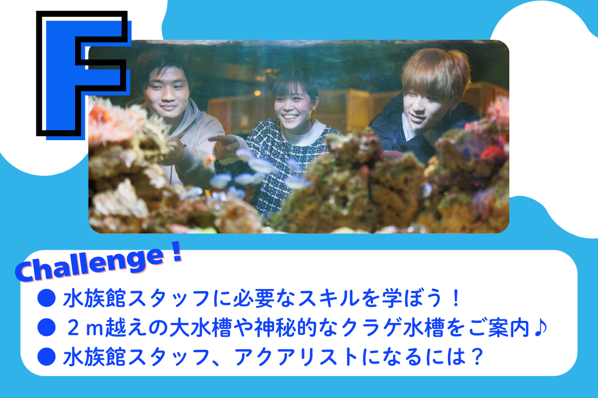 水族館・アクアリスト体験