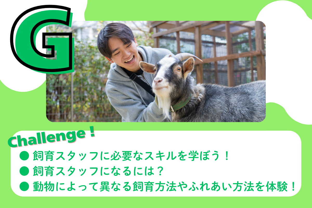 動物園飼育員体験