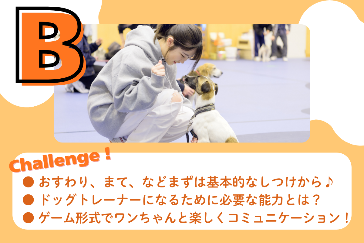 ドッグトレーナー体験