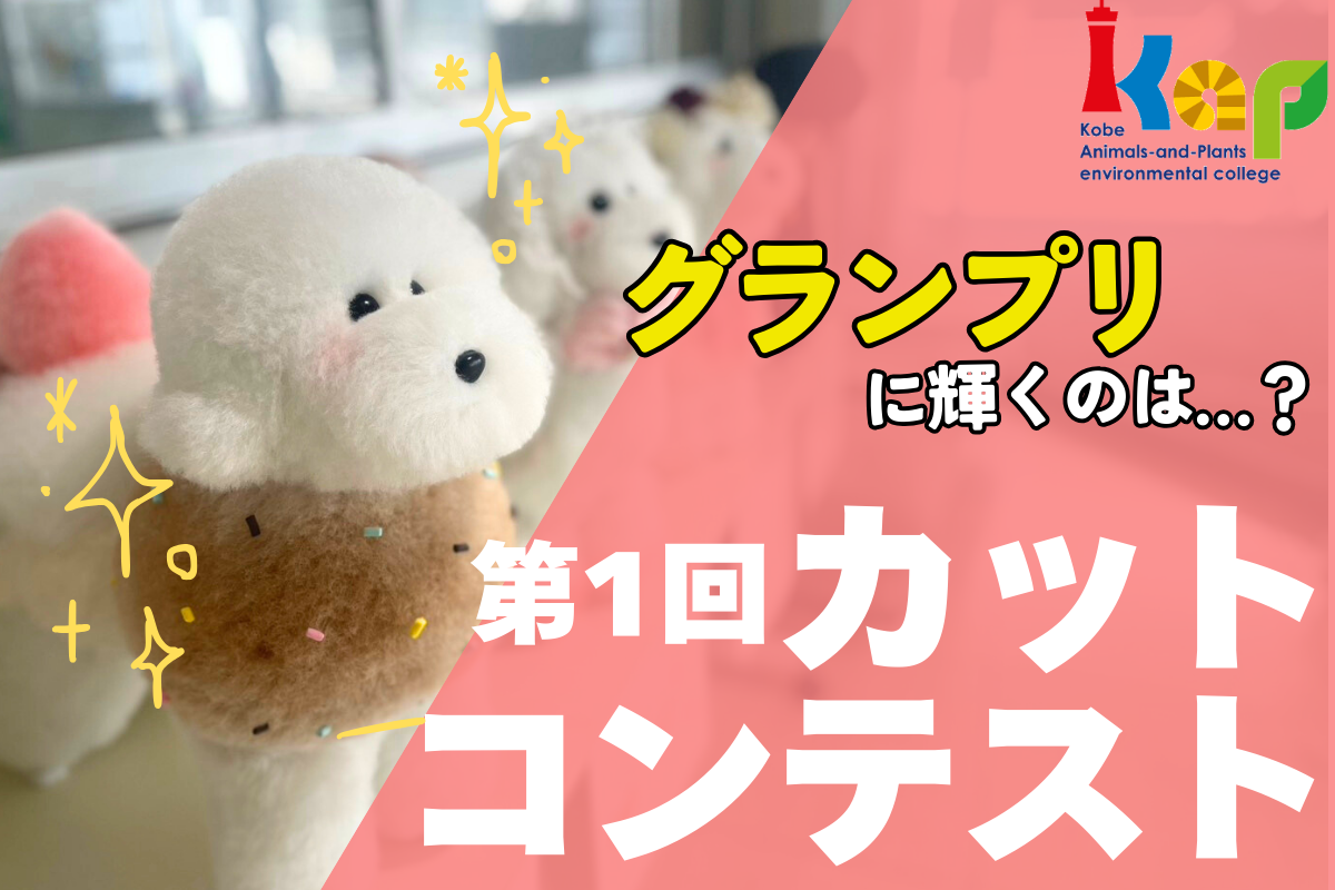 第1回カットコンテスト