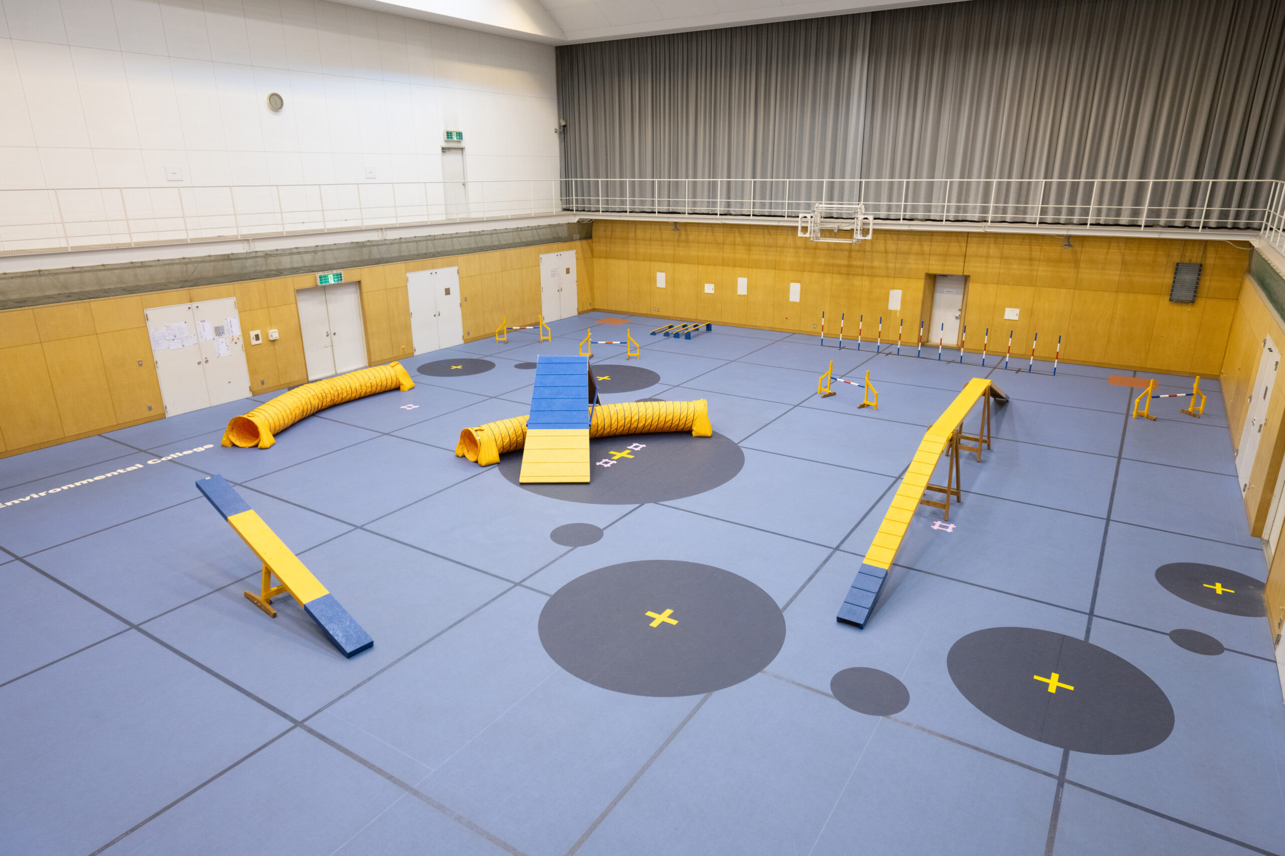 ドッグトレーニングルーム