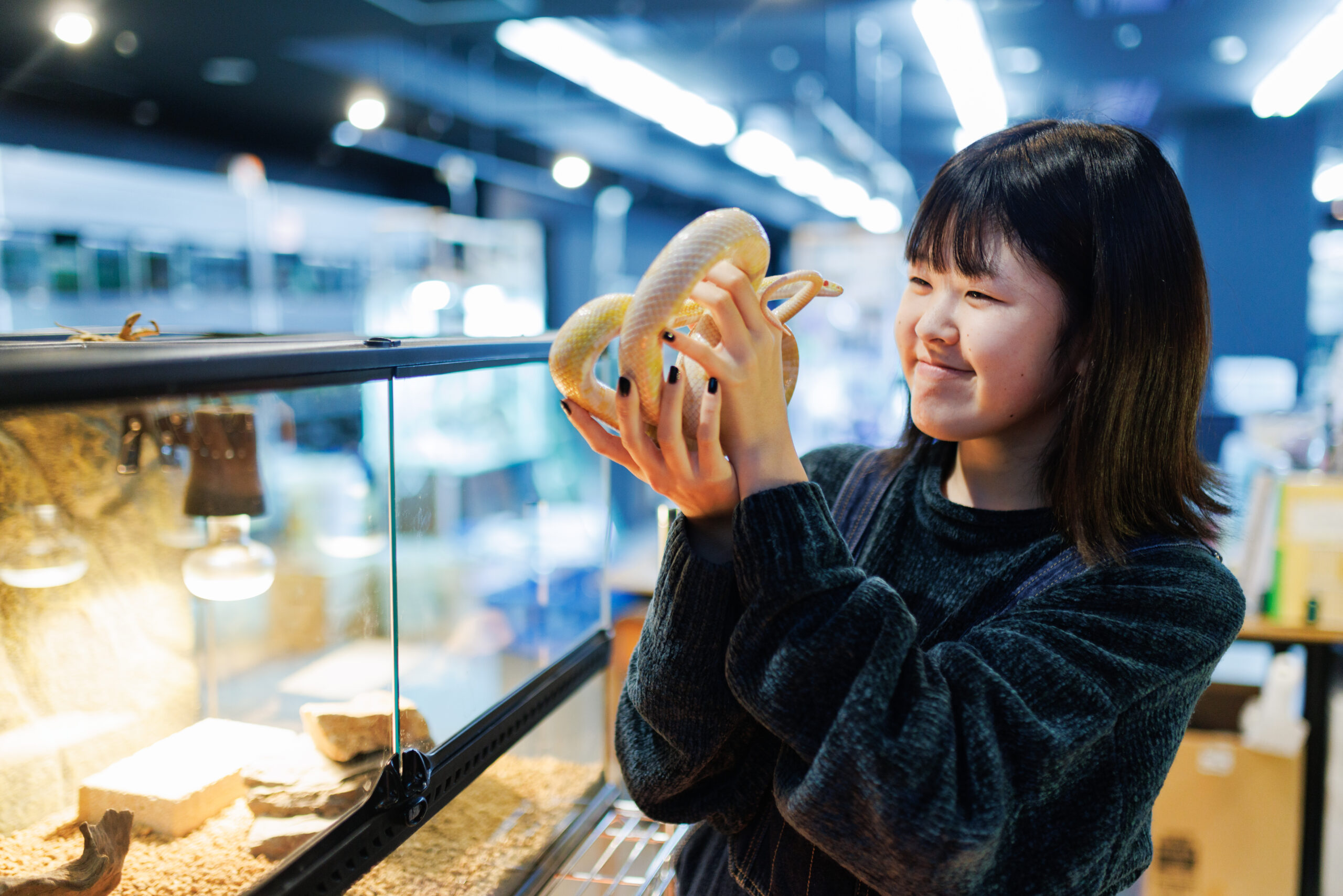 爬虫類サークル