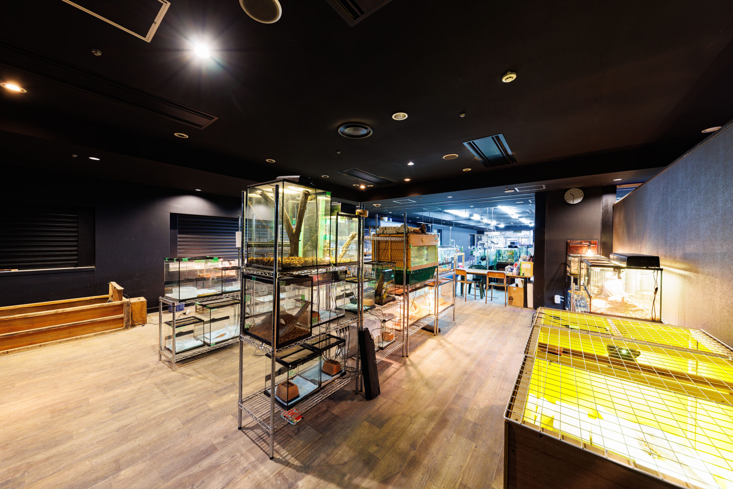 両生爬虫類 飼育エリア