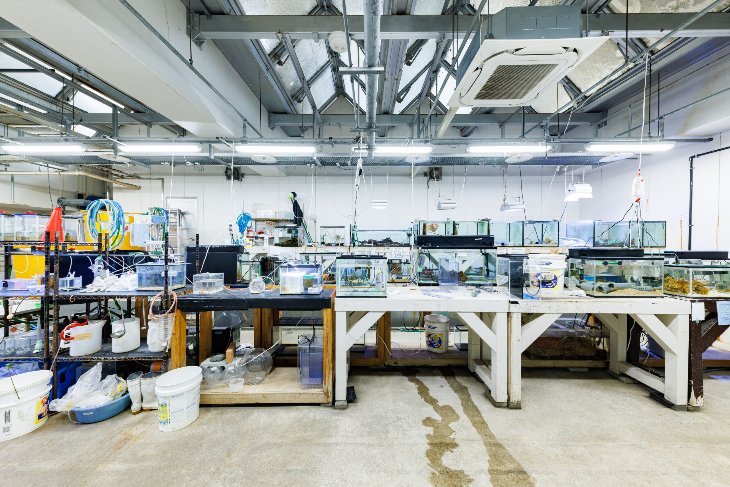 マリンガーデン